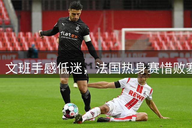 文班手感低迷，法国热身赛惜败塞尔维亚