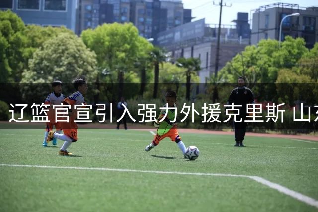 辽篮官宣引入强力外援克里斯 山东队战略放弃背后暗藏深意